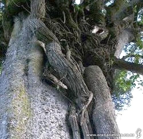 Photos by Tom Camden