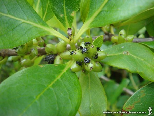 ..with friends (or are they.?)